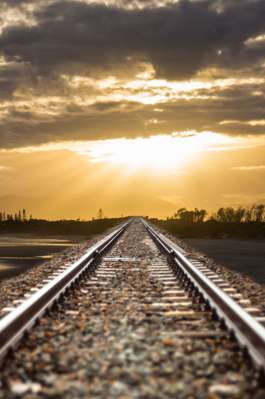 succeed in managing a transformation project succeed in managing a transformation project